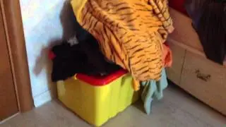 "Старый" Room Tour)))