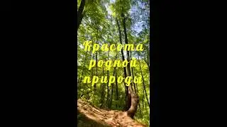 Красота родной природы