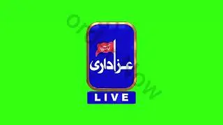 green screen 3d logo 2024