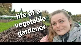 Life of a Vegetable Gardener (Thursday)