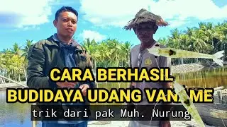 Cara Berhasil Budidaya Udang Vaname