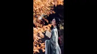 The Thousand-Year Charm of Chinese Traditional Clothing: A Beautiful Young Lady Wears Hanfu