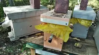 Битва в нуклеусе