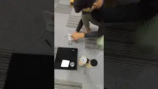 Cat Tree 203 Assembly