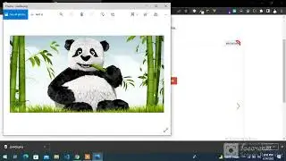 How to Convert JPG to PNG Image Free