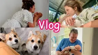 БУДНИ С МЛАДЕНЦЕМ 🧸расхламление  📦новые умелки 🥹VLOG