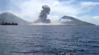 COMBO VINE #9