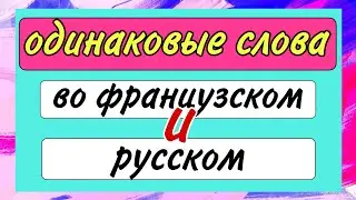 ОДИНАКОВЫЕ СЛОВА во французском и русском языках