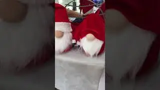 Гномычи морозные