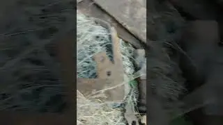 Отличная погода в сочетании с отличным копом!