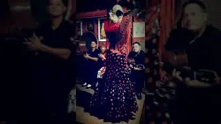 Soleá por bulerias, FlamencoEsencia, T de Triana, Noches con Arte, La Zíngara
