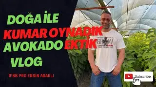 DOĞA İLE KUMAR OYNADIK ,AVOKADO EKTİK VLOG