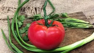 Как сделать бутафорский помидор.