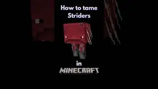 How to tame a strider in Minecraft #gaming #minecraft #gamingtips