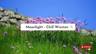 Moonlight - Chill Winston