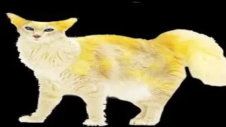 S O U P  S T O R E (swearing warning)
