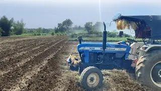 Shetat Rotar Firvla.30 May 2024 #lifestyle #farmer