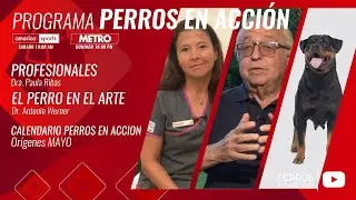 “Perros en acción”  Programa Nº 501