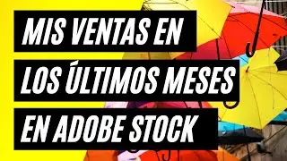 Mis ingresos en Adobe Stock desde noviembre 2021 a junio 2022 🗓️