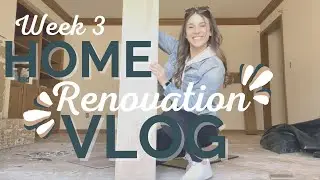 Home Renovation Vlog - Week 3 - Choosing our LVP/Carpet, Removing Cove Ceiling & Design Choices!