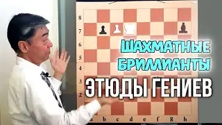 1) Conclusion. Chess Diamonds. Studies of Geniuses. Advice for Practitioners
