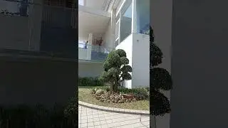 Rumah Elit palm hill semarang #shorts