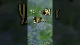 Доброе утро!!!☀️