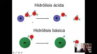 U5 AcBa Hidrolisis, Lux Flood, Lewis