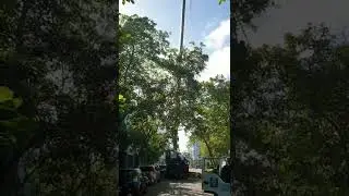 YD works - Crane operation in Maldives