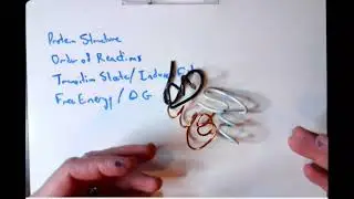 Protein Folding, Order of Reaction, Transition State, deltaG
