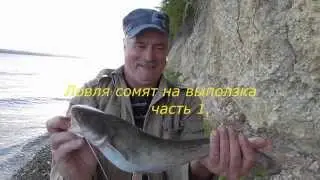 Ловля сомят на выползка часть 1