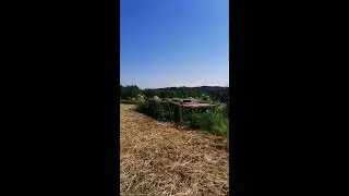 Пасека Климовых в прямом эфире!