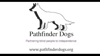 Pathfinder Dogs