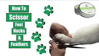 How To Scissor Feet Hocks & Feathers