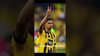 Borrussia Dortmund : The best team that never was