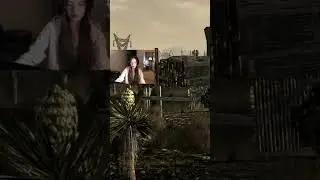 Fallout: New Vegas Плохиши 