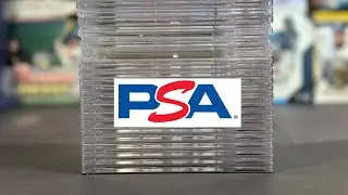 PSA Order Reveal