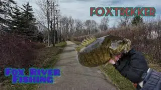 Fox River Fishing: Spring Bite! Ride & fish, Smallies biting!
