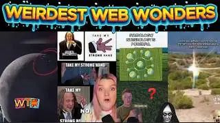 weirdest web wonders vol 216