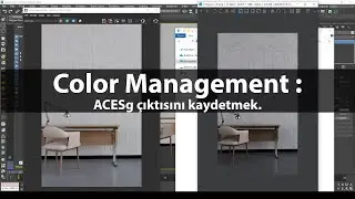 Color Management : ACESg çıktısını kaydetmek.
