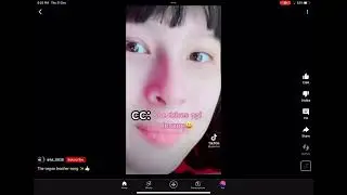 Vegan Song