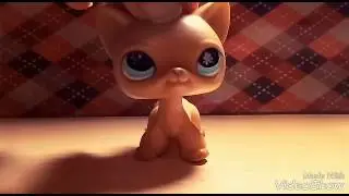 Распаковка петов📦🐱🐶
