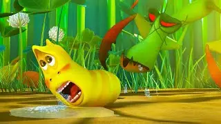 ¡Ataque de saltamontes! | LARVA | WildBrain Niños