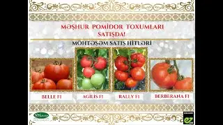 Sezon toxumları satışda!