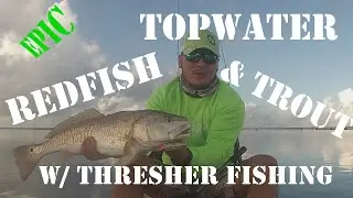 Corpus Christi Topwater Redfish and Trout w/ Thresher Fishing!