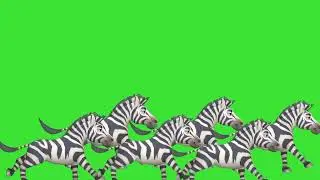 ANIMAL STAMPEDE green screen animation!