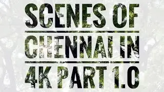 Scenes of Chennai 4K