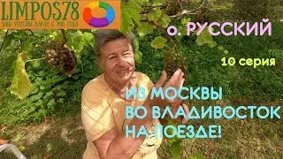 10 ч. ИЗ МОСКВЫ НА БАЙКАЛ / САЯНЫ / ВЛАДИВОСТОК  Ж/Д 2019