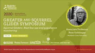 Biolinks Alliance Greater and Squirrel Glider 2020 Symposium keynote by Ross Goldingay