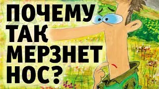 Сказки Аллы Кузьминой - ПОЧЕМУ ТАК МЕРЗНЕТ НОС?